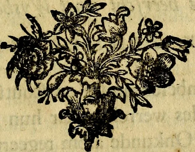 An illustration from Staat- en zedekundige zinneprenten, of, Leerzame fabelen : die van den Heere La Court speelswyze, 1731, leaf 204