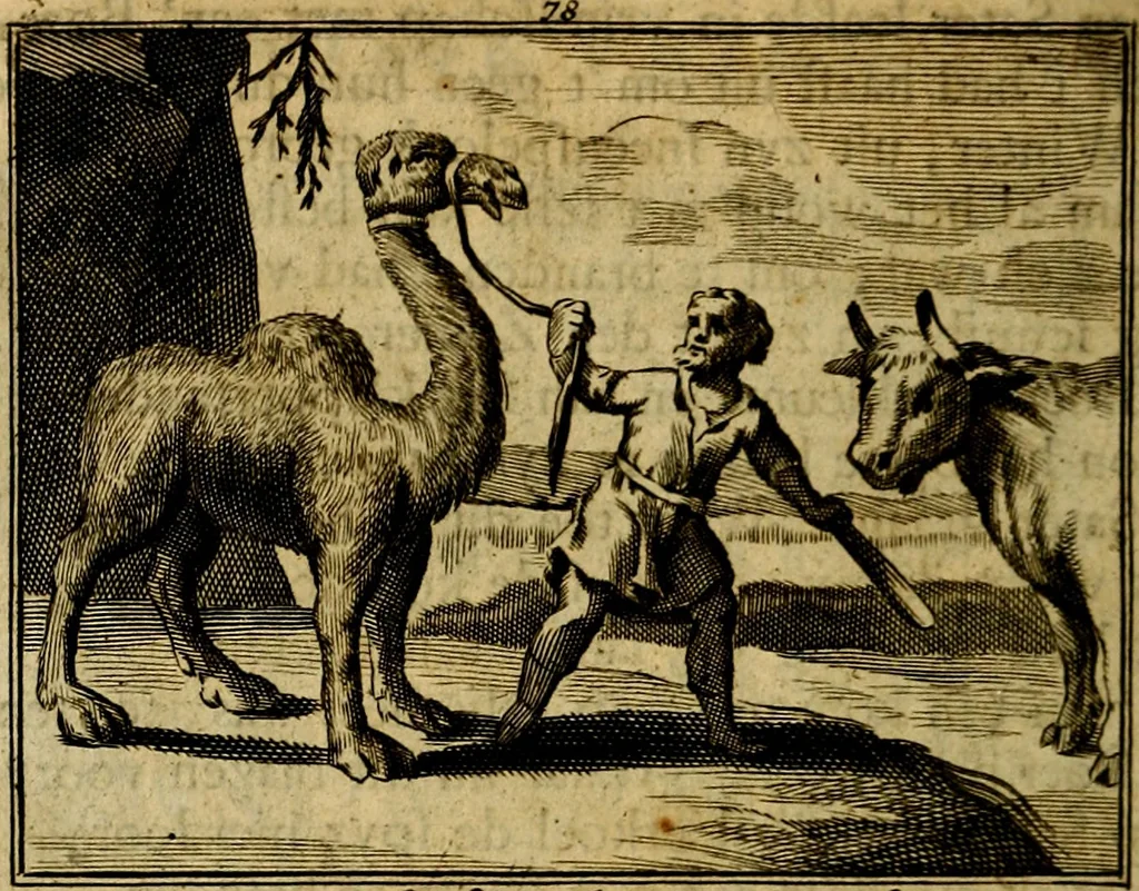 An illustration from Staat- en zedekundige zinneprenten, of, Leerzame fabelen : die van den Heere La Court speelswyze, 1731, leaf 295