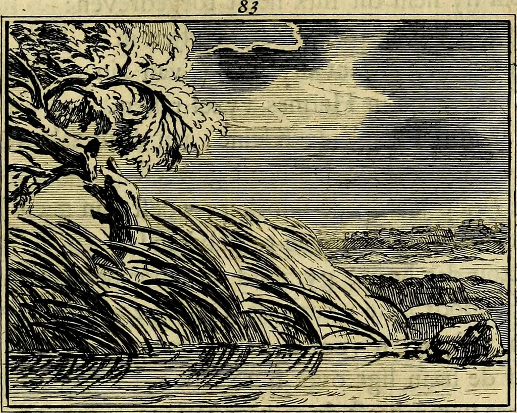 An illustration from Staat- en zedekundige zinneprenten, of, Leerzame fabelen : die van den Heere La Court speelswyze, 1731, leaf 310