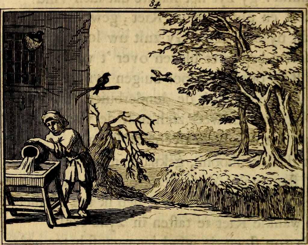 An illustration from Staat- en zedekundige zinneprenten, of, Leerzame fabelen : die van den Heere La Court speelswyze, 1731, leaf 313