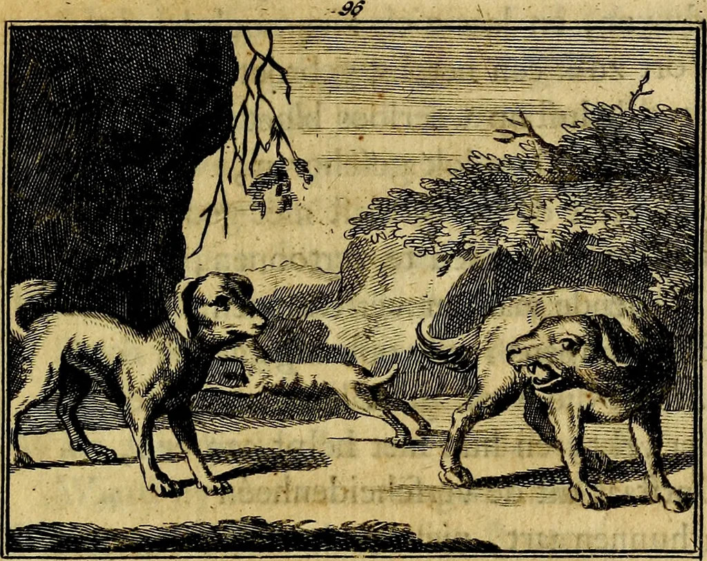 An illustration from Staat- en zedekundige zinneprenten, of, Leerzame fabelen : die van den Heere La Court speelswyze, 1731, leaf 350