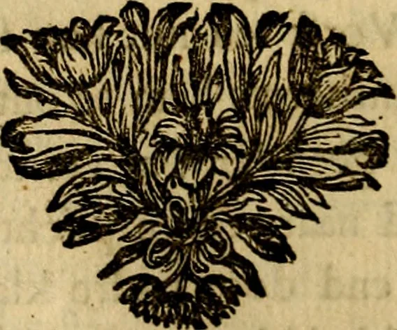 An illustration from Staat- en zedekundige zinneprenten, of, Leerzame fabelen : die van den Heere La Court speelswyze, 1731, leaf 77