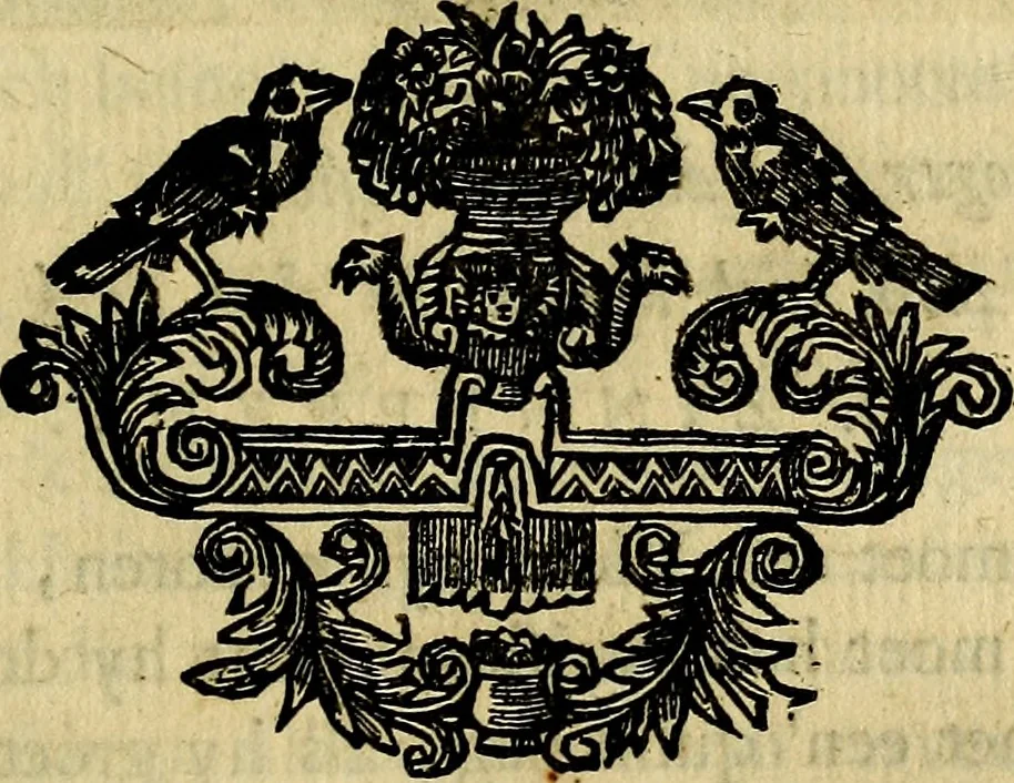 An illustration from Staat- en zedekundige zinneprenten, of, Leerzame fabelen : die van den Heere La Court speelswyze, 1731, leaf 84