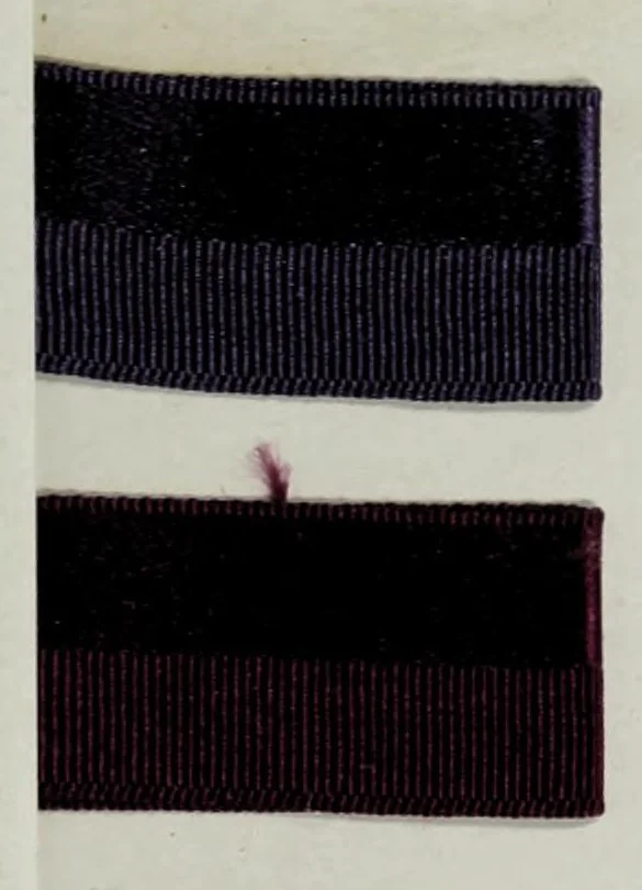 An illustration from Standard color card of America, 1922, leaf 3