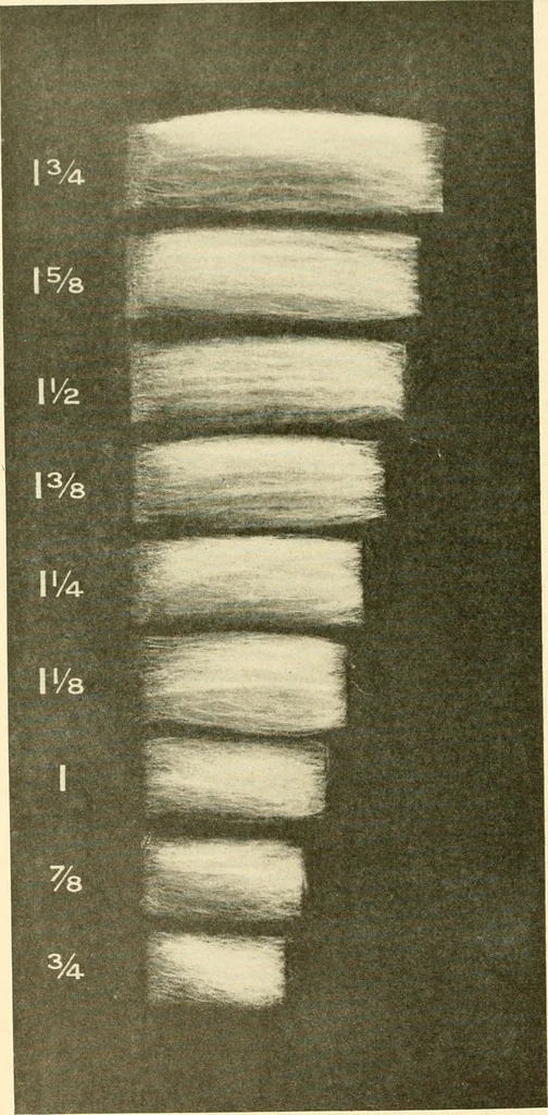 An illustration from Standard cotton mill practice and equipment, with classified buyer's index, 1918, leaf 5