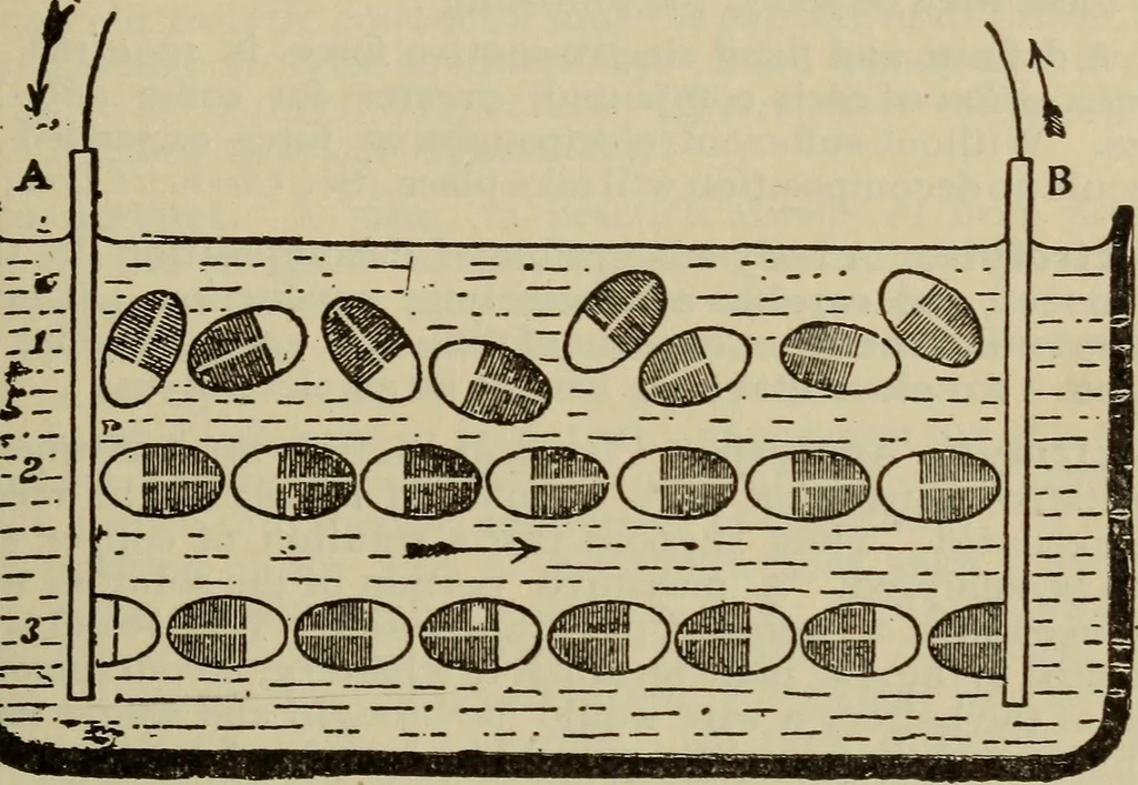 An illustration from The standard electrical dictionary; a popular dictionary of words, terms, and phrases, used in the practice of electrical engineering, 1897, leaf 218
