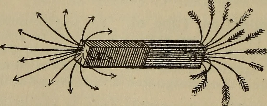 An illustration from The standard electrical dictionary; a popular dictionary of words, terms, and phrases, used in the practice of electrical engineering, 1897, leaf 353
