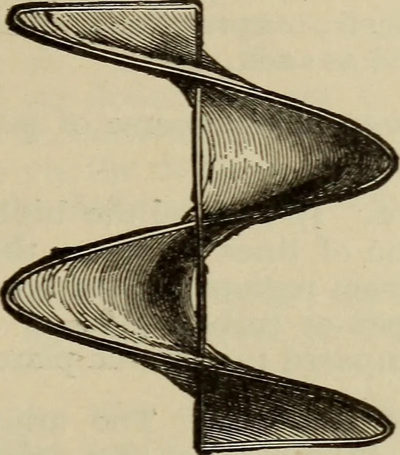 An illustration from The standard electrical dictionary; a popular dictionary of words, terms, and phrases, used in the practice of electrical engineering, 1897, leaf 436