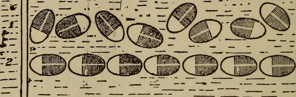 An illustration from The standard electrical dictionary; a popular dictionary of words, terms, and phrases, used in the practice of electrical engineering, 1897, leaf 607