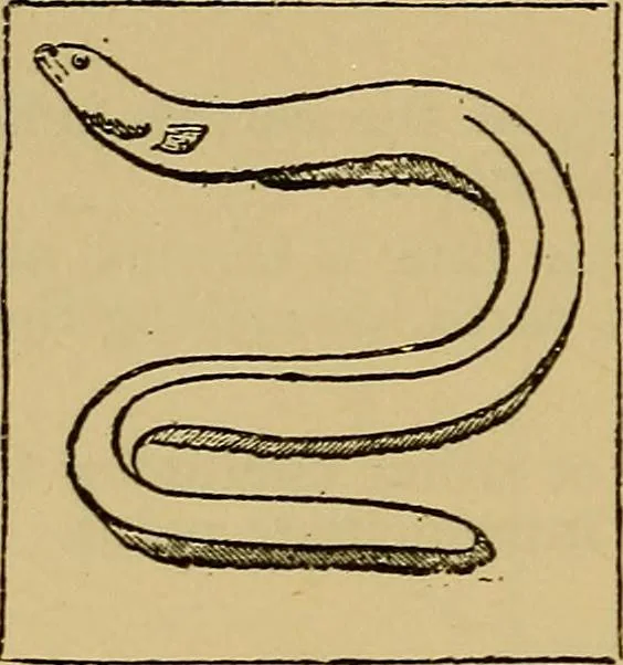 An illustration from The standard electrical dictionary : a popular encyclopaedia of words and terms used in the practice of electrical engineering, 1898, leaf 209