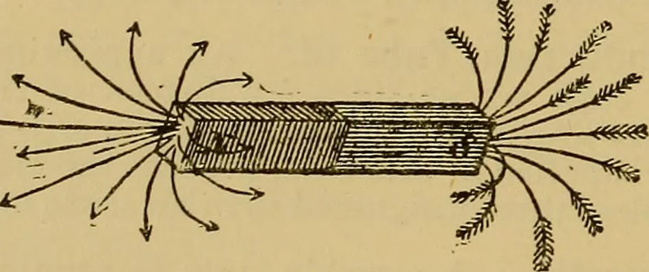 An illustration from The standard electrical dictionary : a popular encyclopaedia of words and terms used in the practice of electrical engineering, 1898, leaf 353