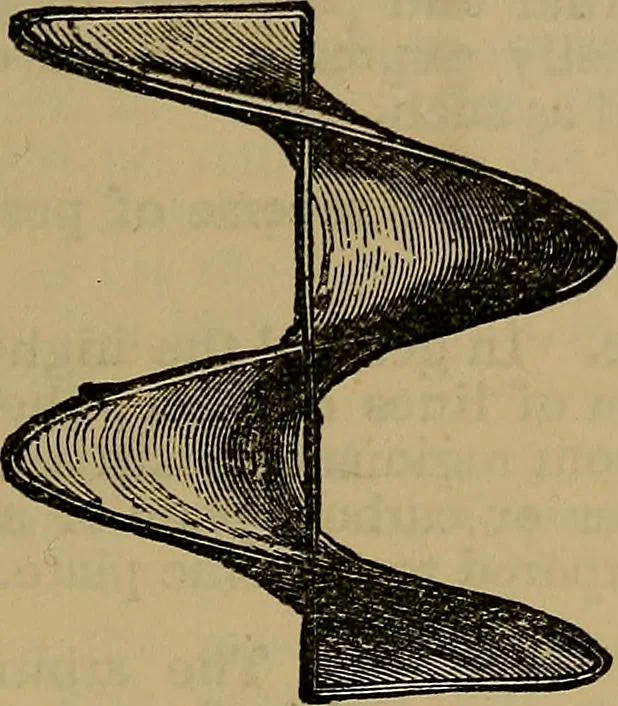 An illustration from The standard electrical dictionary : a popular encyclopaedia of words and terms used in the practice of electrical engineering, 1898, leaf 436