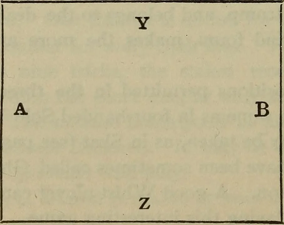 An illustration from The standard Hoyle; a complete guide and reliable authority upon all games of chance or skill now played in the United States whether of native or foreign introduction, 1904, leaf 113