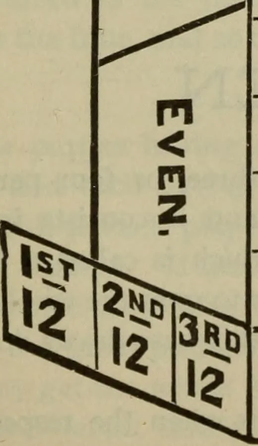 An illustration from The standard Hoyle; a complete guide and reliable authority upon all games of chance or skill now played in the United States whether of native or foreign introduction, 1904, leaf 346