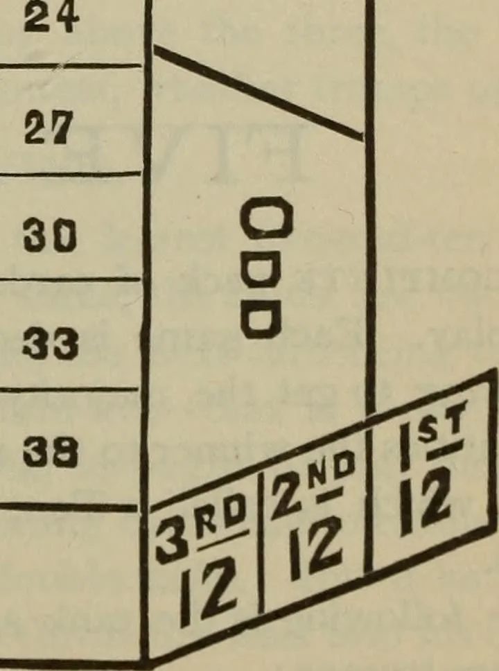 An illustration from The standard Hoyle; a complete guide and reliable authority upon all games of chance or skill now played in the United States whether of native or foreign introduction, 1904, leaf 346