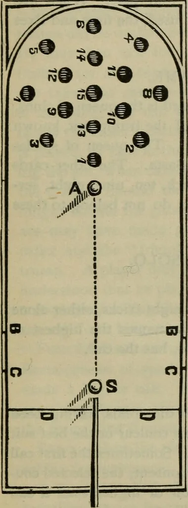 An illustration from The standard Hoyle; a complete guide and reliable authority upon all games of chance or skill now played in the United States whether of native or foreign introduction, 1904, leaf 550