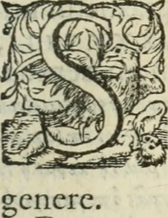 An illustration from Stanislai Grsepsii De mvltiplici siclo et talento hebraico : item, de mensvris hebraicis, tam aridorum quàm liquidorum : his praemissa est epitome de ponderibus & mensuris, quae apud profanos leguntur auctores, ex Budaeo potissimum desumpta .., 1568, leaf 58