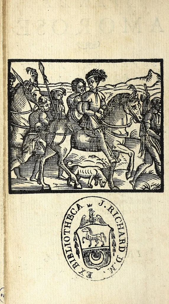 An illustration from Stanze amorose, sopra gli horti delle donne, & in lode della menta. La caccia d'amore del Bernia. Quarantadui stanze in materia d'amore nuouamente ritrouate, & con diligentia corrette, & di vaghe historie adornate & date in luce, 1574, leaf 12