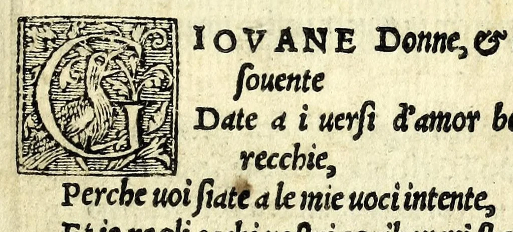 An illustration from Stanze amorose, sopra gli horti delle donne, & in lode della menta. La caccia d'amore del Bernia. Quarantadui stanze in materia d'amore nuouamente ritrouate, & con diligentia corrette, & di vaghe historie adornate & date in luce, 1574, leaf 13