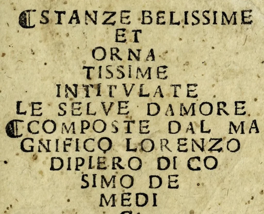 An illustration from Stanze belissime et ornatissime, intitvlate, le selve d'amore, 1522, leaf 5