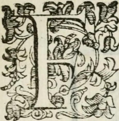 An illustration from Stanze cantate da vn fanciullo : in compagnia et a nome della Contrada della Lupa, festeggiante dinanzi à S.A.S. l'anno 1590 in Siena, 1590, leaf 10