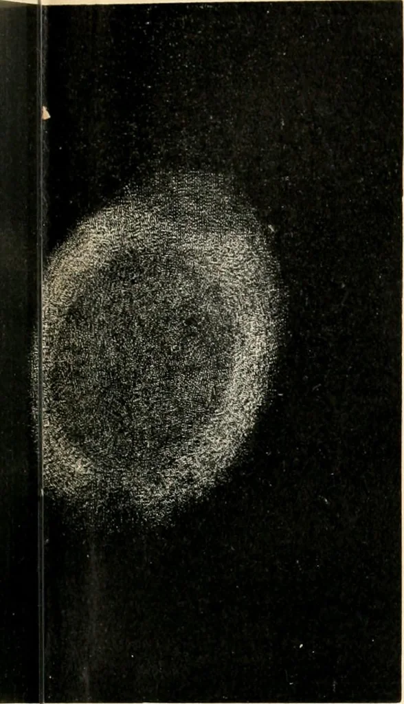 An illustration from Star atlas containing maps of all the stars from 1 to 6.5 magnitude between the North Pole and 34 south declination, and of all nebulae and star clusters in the same region which are visible in telescopes of moderate powers. With explanatory text by H.J. Klein. Translated by Edmond McClure, 1901, leaf 148