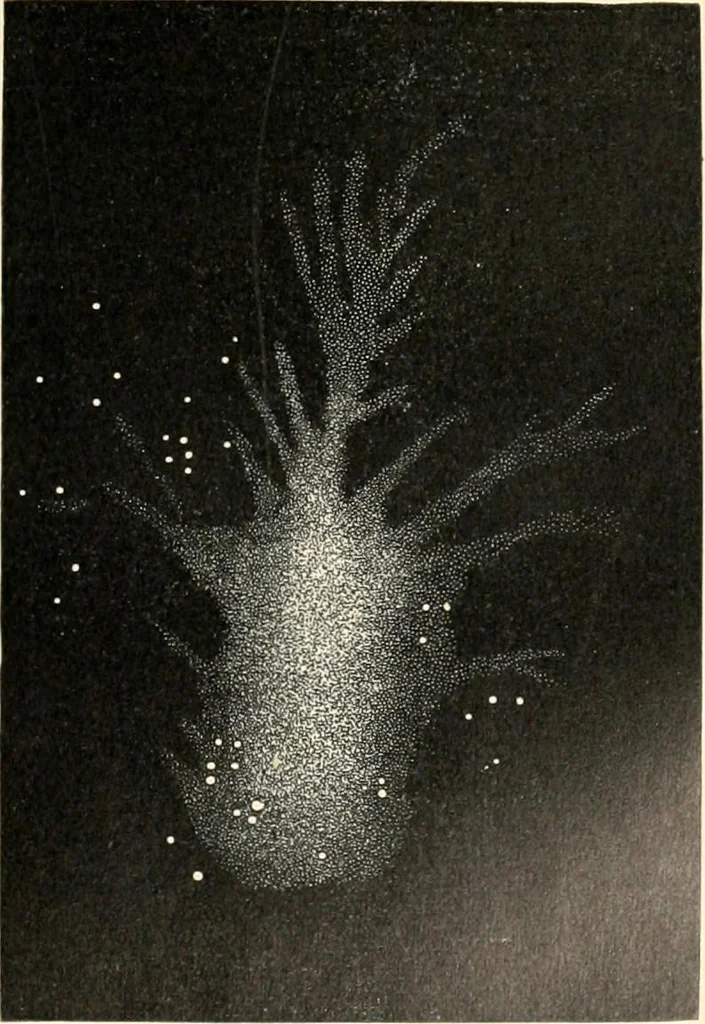 An illustration from Star atlas containing maps of all the stars from 1 to 6.5 magnitude between the North Pole and 34 south declination, and of all nebulae and star clusters in the same region which are visible in telescopes of moderate powers. With explanatory text by H.J. Klein. Translated by Edmond McClure, 1901, leaf 148