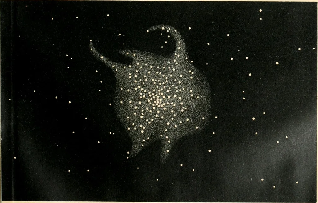 An illustration from Star atlas containing maps of all the stars from 1 to 6.5 magnitude between the North Pole and 34 south declination, and of all nebulae and star clusters in the same region which are visible in telescopes of moderate powers. With explanatory text by H.J. Klein. Translated by Edmond McClure, 1901, leaf 156