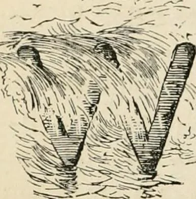 An illustration from Starboard and port: the "Nettie" along shore, 1876, leaf 179