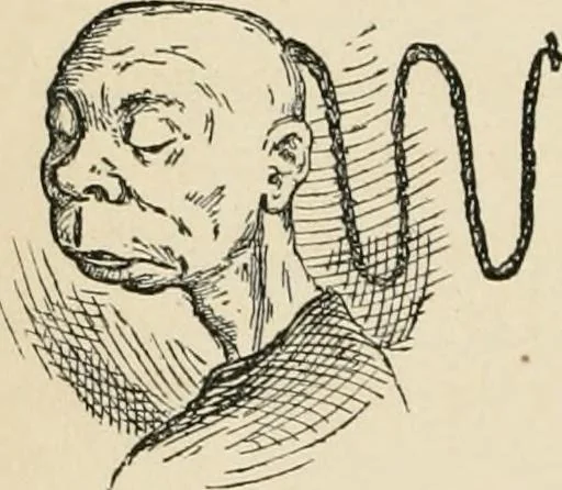 An illustration from Starboard and port: the "Nettie" along shore, 1876, leaf 79