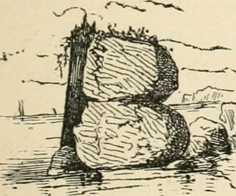 An illustration from Starboard and port: the "Nettie" along shore, 1876, leaf 94