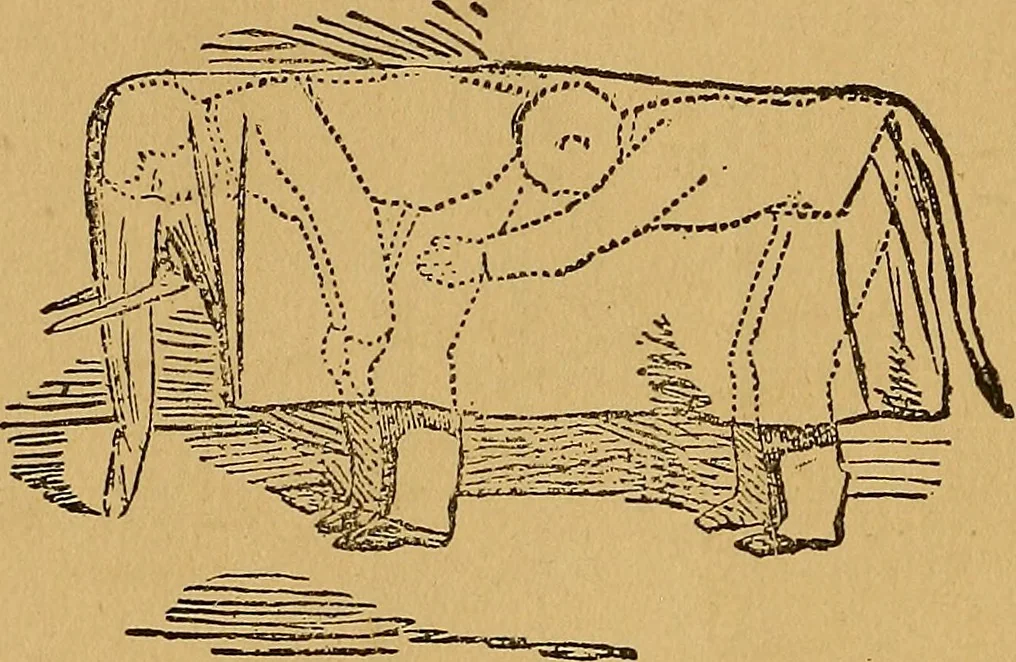 An illustration from The Star games, tricks and puzzles, 1893, leaf 15