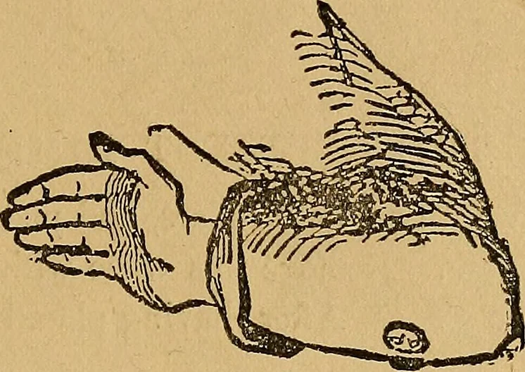 An illustration from The Star games, tricks and puzzles, 1893, leaf 22
