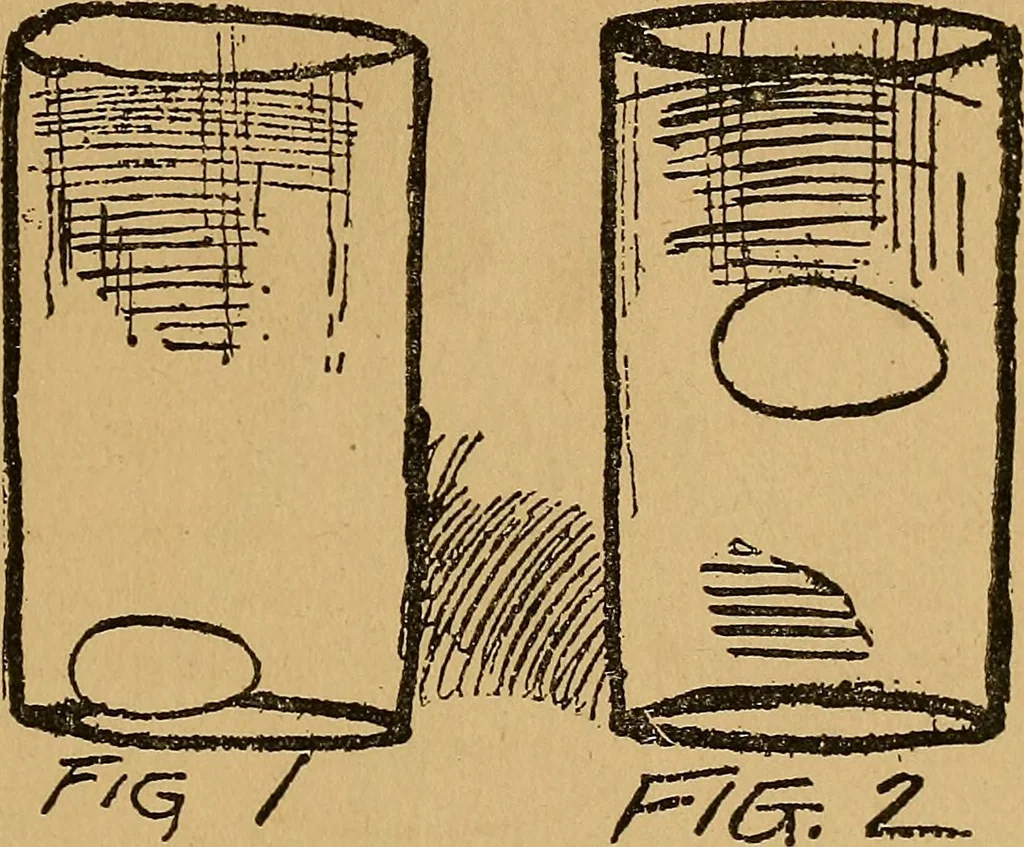 An illustration from The Star games, tricks and puzzles, 1893, leaf 24