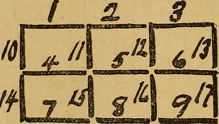 An illustration from The Star games, tricks and puzzles, 1893, leaf 29
