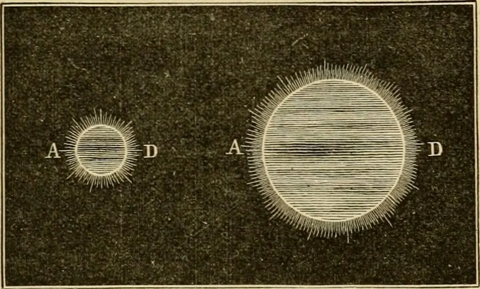 An illustration from Stargazing: past and present, 1878, leaf 146