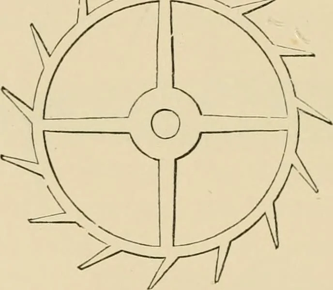 An illustration from Stargazing: past and present, 1878, leaf 231