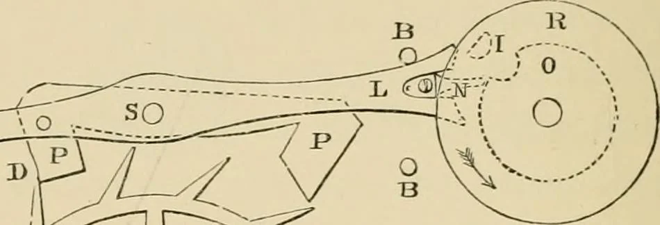 An illustration from Stargazing: past and present, 1878, leaf 231