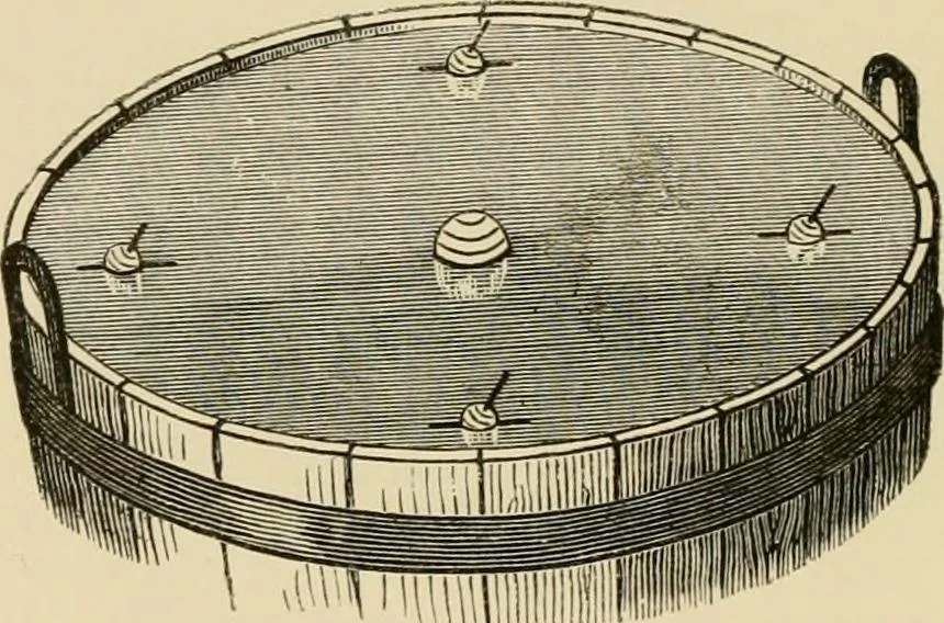 An illustration from Stargazing: past and present, 1878, leaf 37