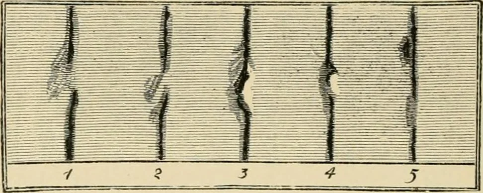 An illustration from Stargazing: past and present, 1878, leaf 461