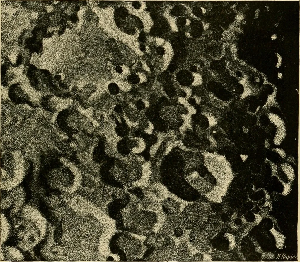 An illustration from Stargazing: past and present, 1878, leaf 500
