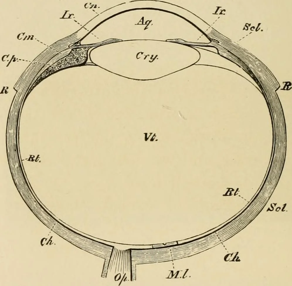 An illustration from Stargazing: past and present, 1878, leaf 89
