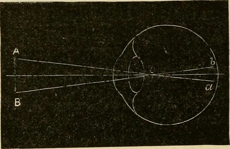 An illustration from Stargazing: past and present, 1878, leaf 91