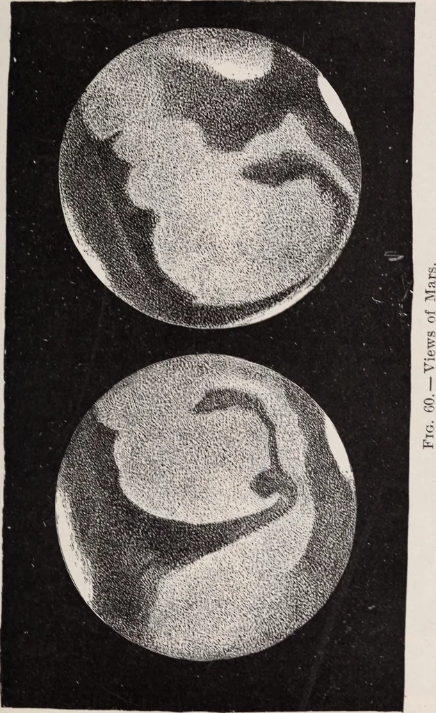 An illustration from Star-land; being talks with young people about the wonders of the heavens, 1899, leaf 202