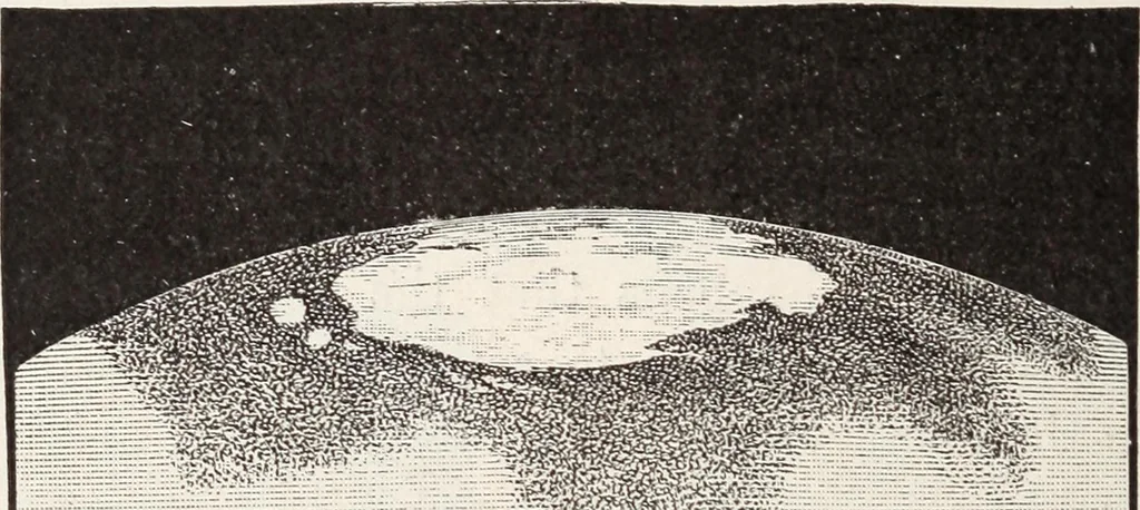 An illustration from Star-land; being talks with young people about the wonders of the heavens, 1899, leaf 205
