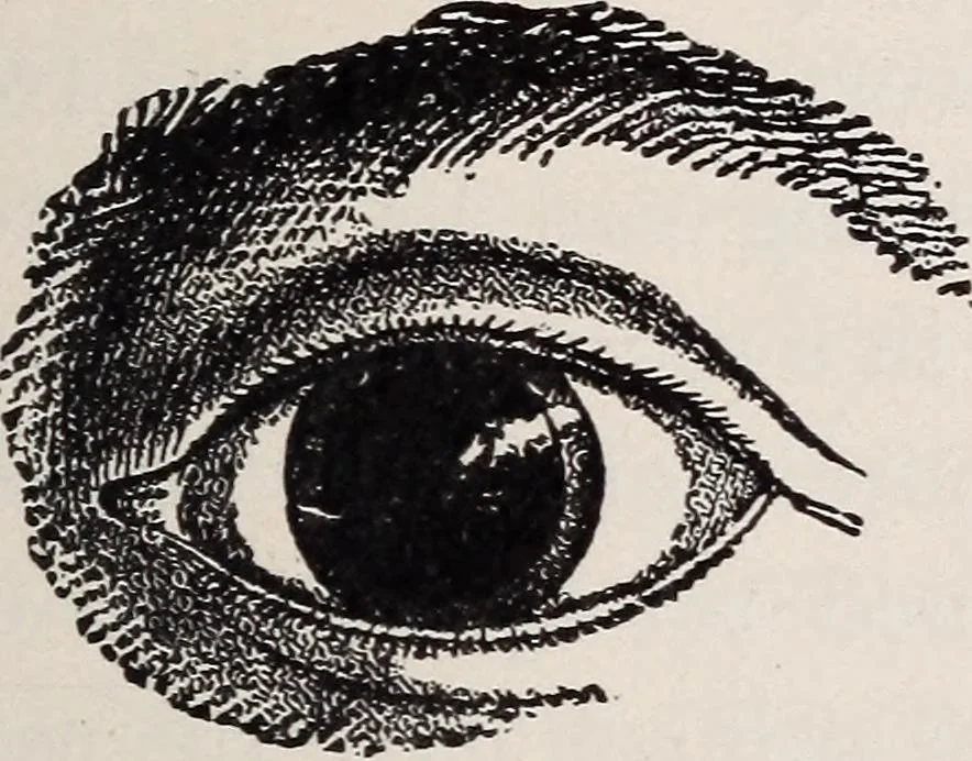 An illustration from Star-land; being talks with young people about the wonders of the heavens, 1899, leaf 214