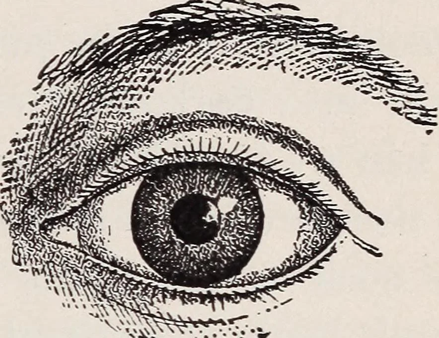An illustration from Star-land; being talks with young people about the wonders of the heavens, 1899, leaf 214