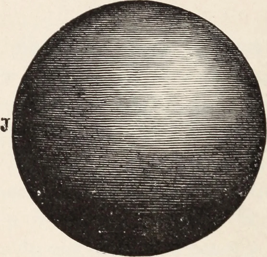 An illustration from Star-land; being talks with young people about the wonders of the heavens, 1899, leaf 227