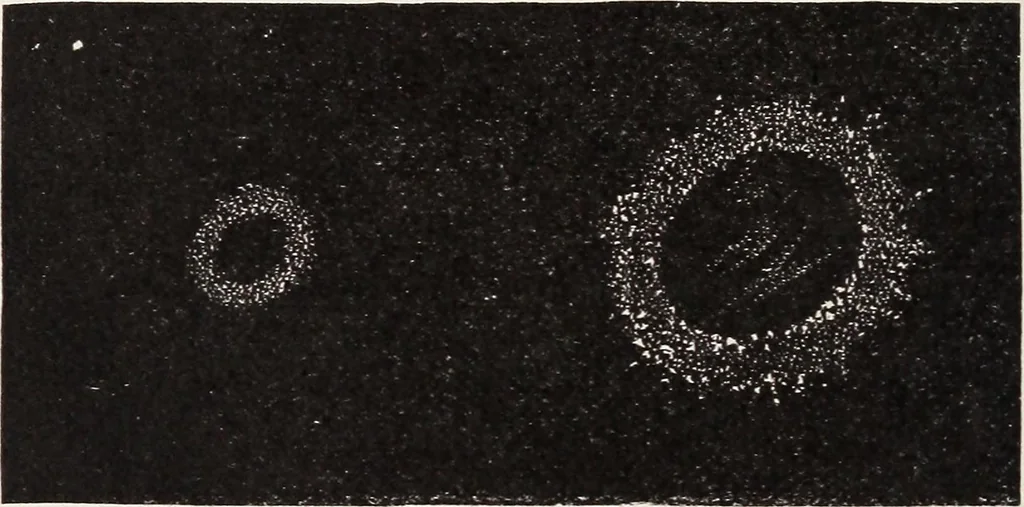 An illustration from Star-land; being talks with young people about the wonders of the heavens, 1899, leaf 367
