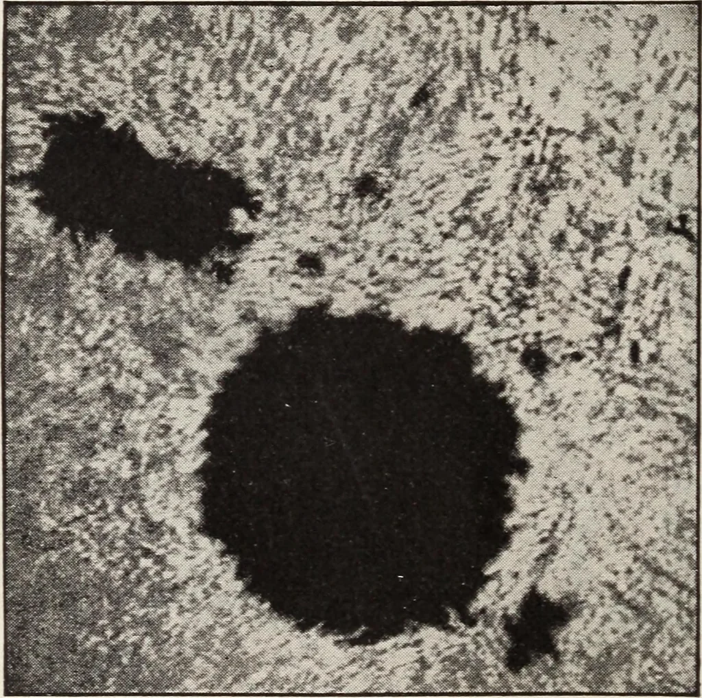 An illustration from Star-land; being talks with young people about the wonders of the heavens, 1899, leaf 49
